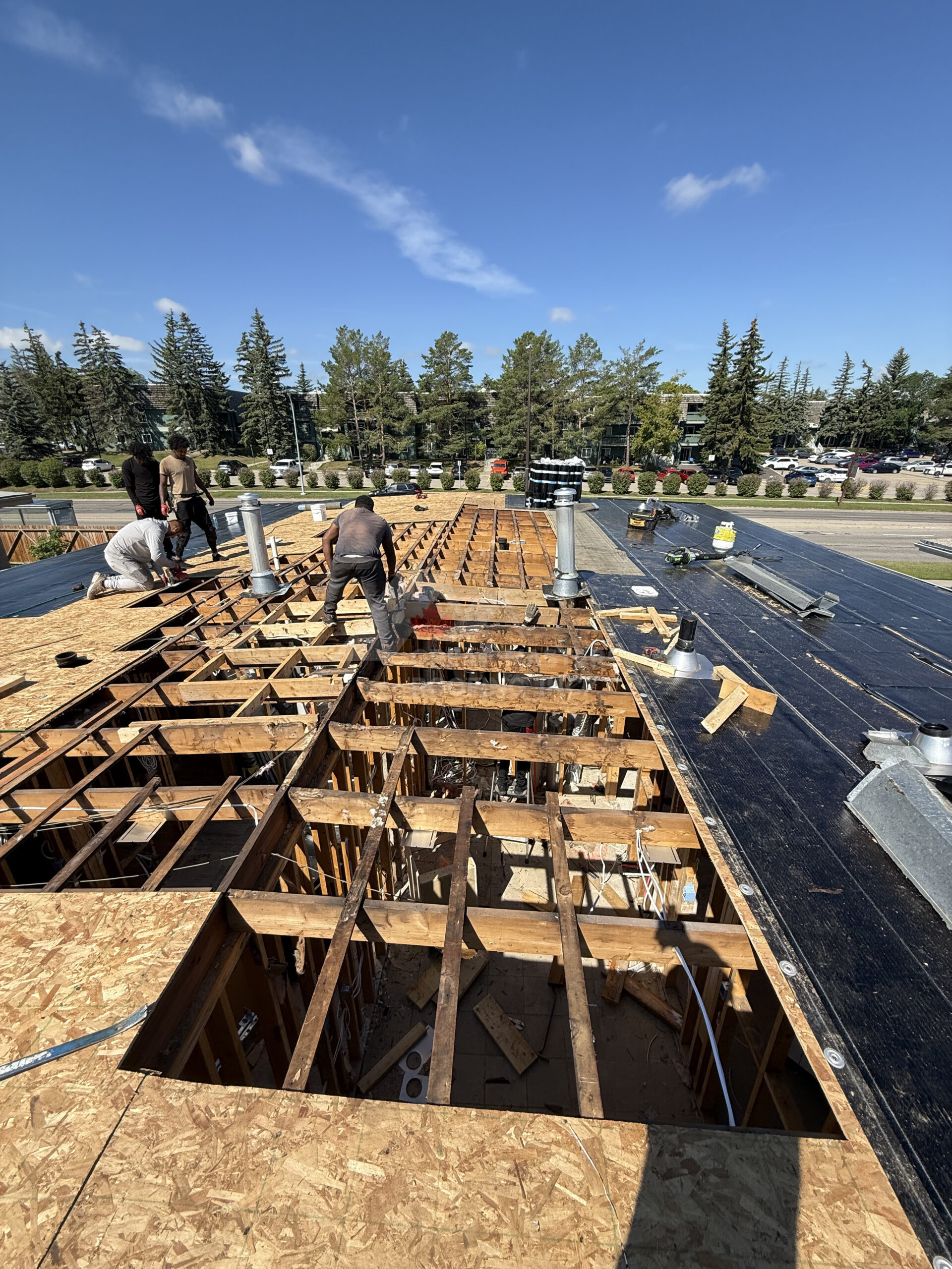 Crew installing new decking during a flat roof replacement
