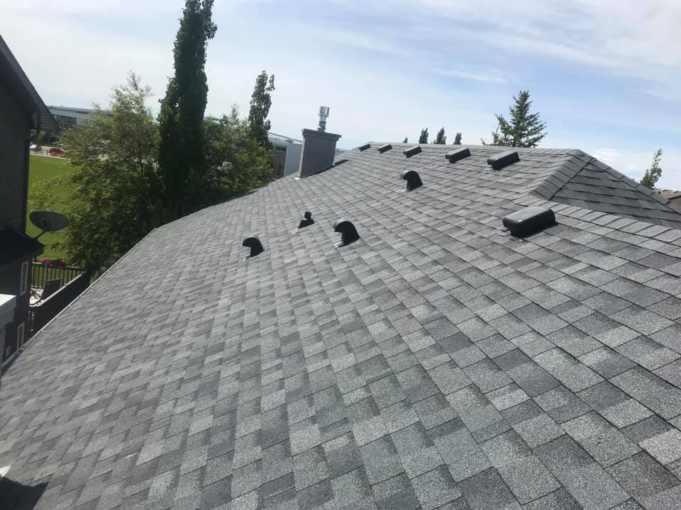 Asphalt shingle roofing